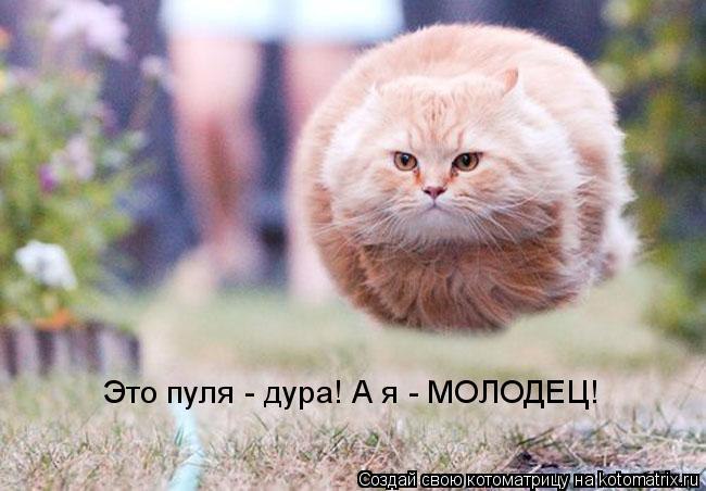   :3 - 1  2014  13:08