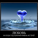 ���� �����, �������� - ��������� 3 ������ 2014 � ������ ������ ��������