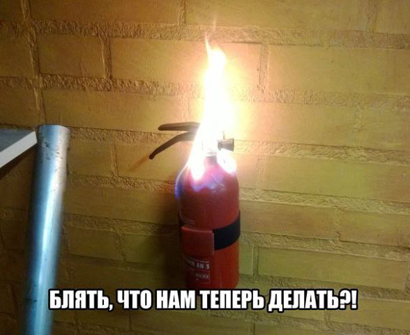 . - 10  2014  06:22 - 2