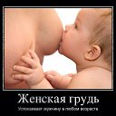 ���� ������, ������, 54 ���� - ��������� 14 ������ 2014 � ������ �������