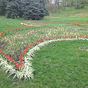 ���� ���������, ����, 53 ���� - ��������� 20 ������ 2014 � ������ ��������� ��������� ����-2014�