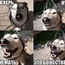 ���� �����, ���������, 54 ���� - ��������� 7 ���� 2014 � ������ ������ ��������