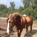  , -, 42  -  18  2014     