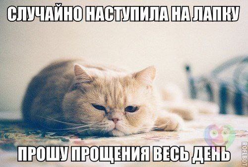 Art & Fun - 18  2014  02:09