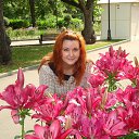 ���� �����, ������, 41 ��� - ��������� 9 ���� 2014 � ������ ���� ����������