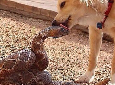    ? T ........ .........    -  !!!....)))