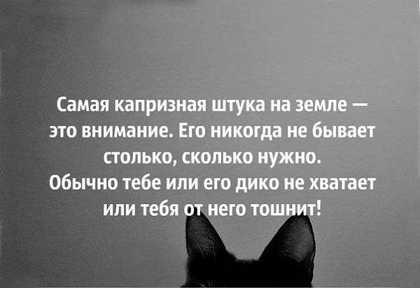  - 28  2014  20:56