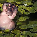 ���� ����, ������, 67 ��� - ��������� 27 ������ 2014 � ������ ������ ��������