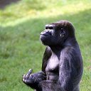 ���� ����������, ����, 47 ��� - ��������� 19 ������ 2014 � ������ ������ ��������