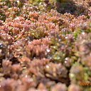 ���� �����, ���������, 61 ��� - ��������� 7 ������ 2014 � ������ ������ ��������