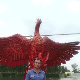 ������, ������� �����, 56 ���