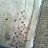 ���� ������, �����-��������� - ��������� 30 ������ 2014