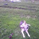 ���� ������, �����������, 52 ���� - ��������� 10 ������� 2014 � ������ ���� ����������