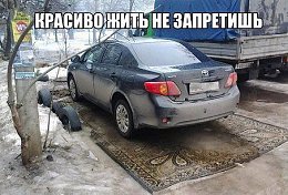�����������