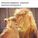 ���� ���������, ��������, 48 ��� - ��������� 19 ������� 2014 � ������ ���� ����������