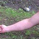 ���� .������... �������, �����-��������� - ��������� 28 ���� 2014