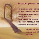 ���� ˸��, ����-�������, 39 ��� - ��������� 23 ��� 2014 � ������ ������ ��������