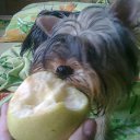 ...  ...    &quot;8 &quot;