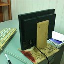 ���� Nikolai, ������, 43 ���� - ��������� 5 ��� 2014 � ������ ������ ��������