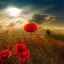  Nataliya__,  -  30  2014    