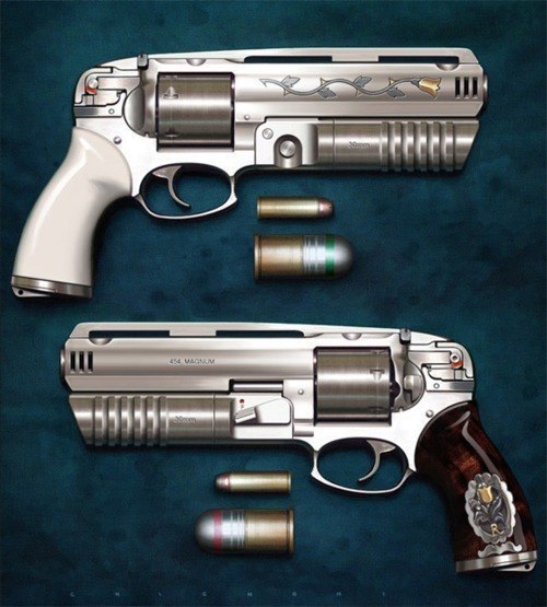 Magnum 454  .