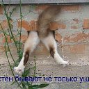 ���� �������, ��������-��-������, 48 ��� - ��������� 24 ���� 2014 � ������ ������ ��������