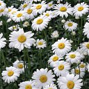 � ����� �������� ���� vk.com/fotiko �� ������� ��������� ���� � fotiko.ru�