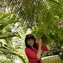 ���� �������, ����, 37 ��� - ��������� 29 ������ 2014 � ������ ���� ����������