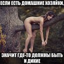 ���� ���������, ��������� - ��������� 3 ������� 2014 � ������ ������ ��������