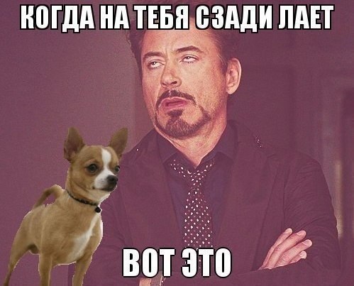  (18+) - 17  2014  19:59