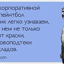 ���� ����, ������, 41 ��� - ��������� 24 ������ 2014 � ������ ������ ��������