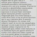 ���� ��������, ������� - ��������� 4 ������� 2014 � ������ ������ ��������