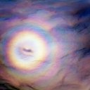 ���� Ginger, ������� - ��������� 7 ���� 2014 � ������ ������ ��������