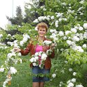 ���� �������, ������, 56 ��� - ��������� 3 ��� 2014 � ������ ���� ����������