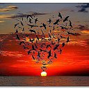 ���� ��������, ���������, 45 ��� - ��������� 26 ��� 2014 � ������ ������ ��������