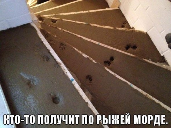  - 21  2014  20:11