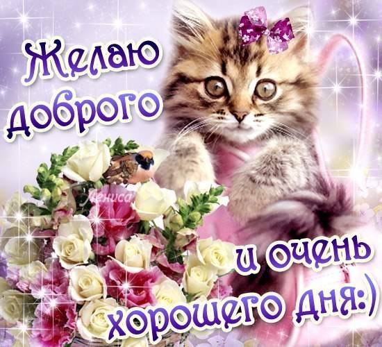 ���� ������ ������ - ������. ��� �� �������� �� ����������. ������, �����, ��������� ��������. � ...