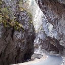 ���� �������, �����, 51 ��� - ��������� 19 ��� 2014 � ������ ����������