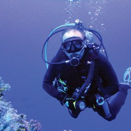 ���� ��������� �����, ������, 66 ��� - ��������� 18 ������� 2014