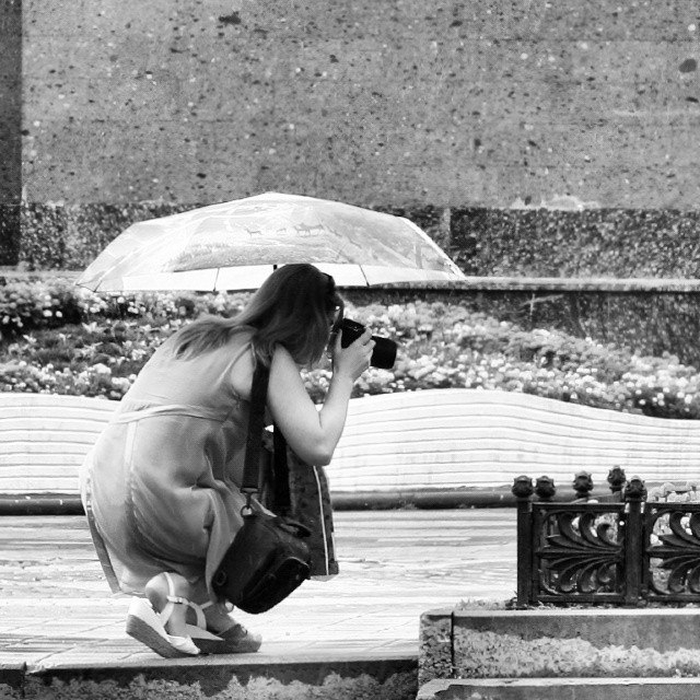 Rain isn't barrier to the photographer.  -   . ...
