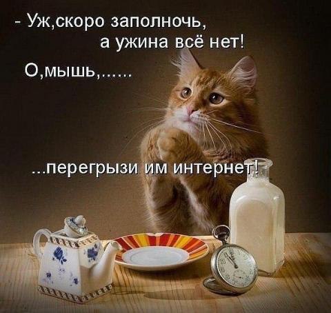 Moireach 109 Ур. Чар - 13 апреля 2014 в 04:33
