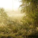 ���� �����, ������ �������� - ��������� 23 ����� 2014 � ������ �������� ������� ��������