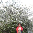 ����� � ������