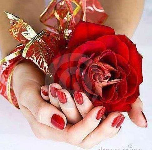 Не обвиняй, не восхваляй, не сравнивай! Никто из нас не лучше никого. Мы все на этом свете люди ...