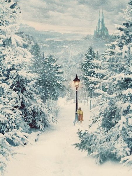   - 1  2014  21:15 - 4