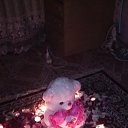 ���� ������ 🦊, �����, 43 ���� - ��������� 25 ���� 2014 � ������ ���� ����������