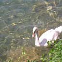  Nadiusha Fedorovna, , 81  -  9  2014    