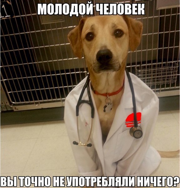     ! =))) <a href=