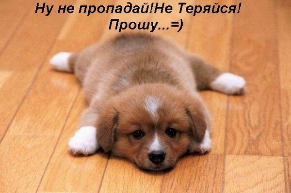    , ...   !     -    ...