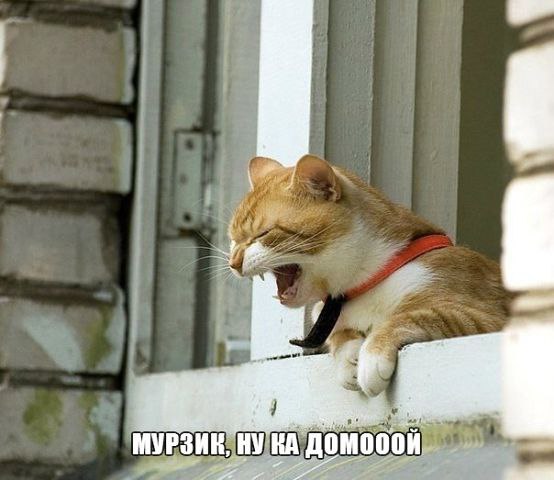  - 9  2014  13:52